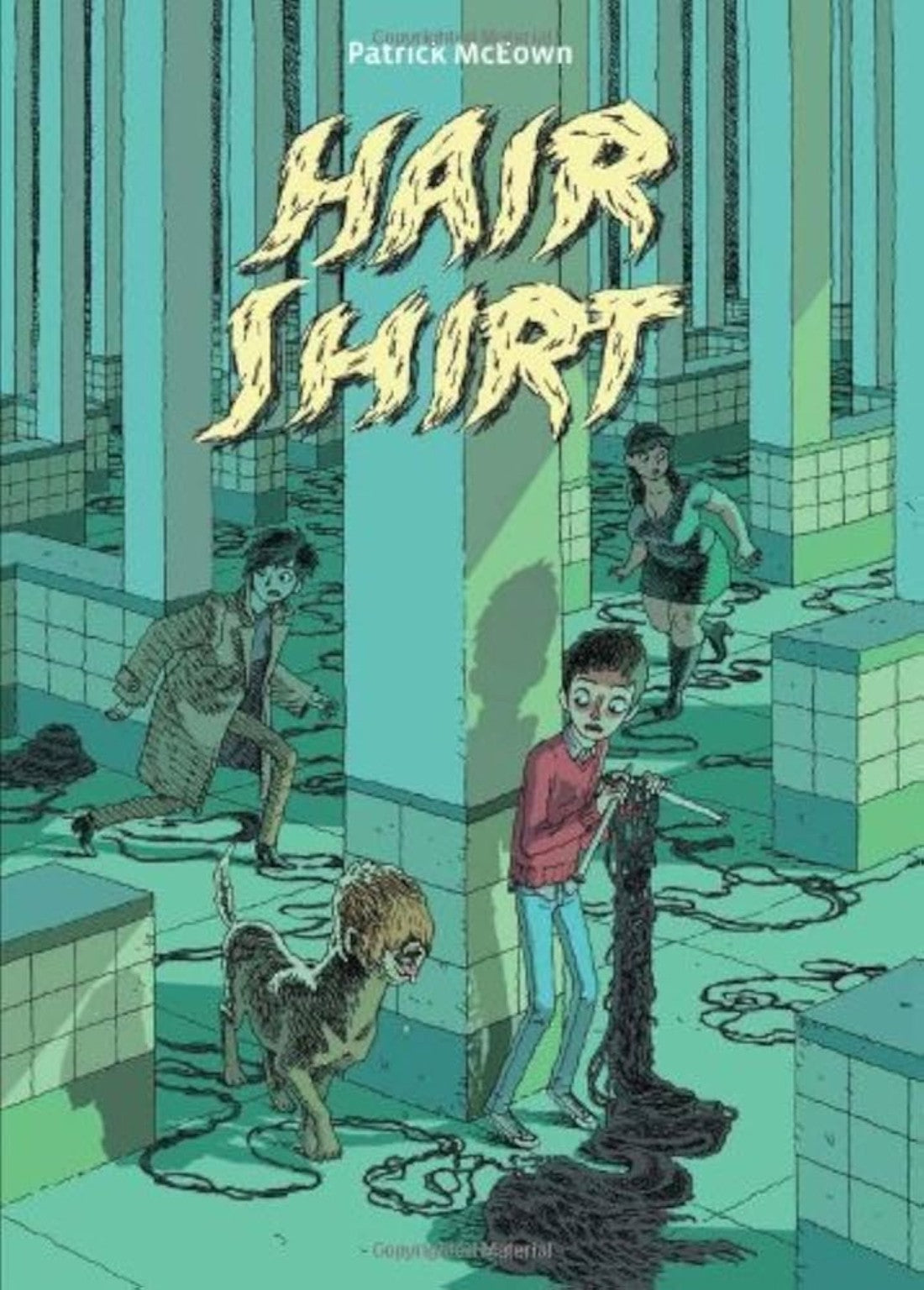 Hair Shirt