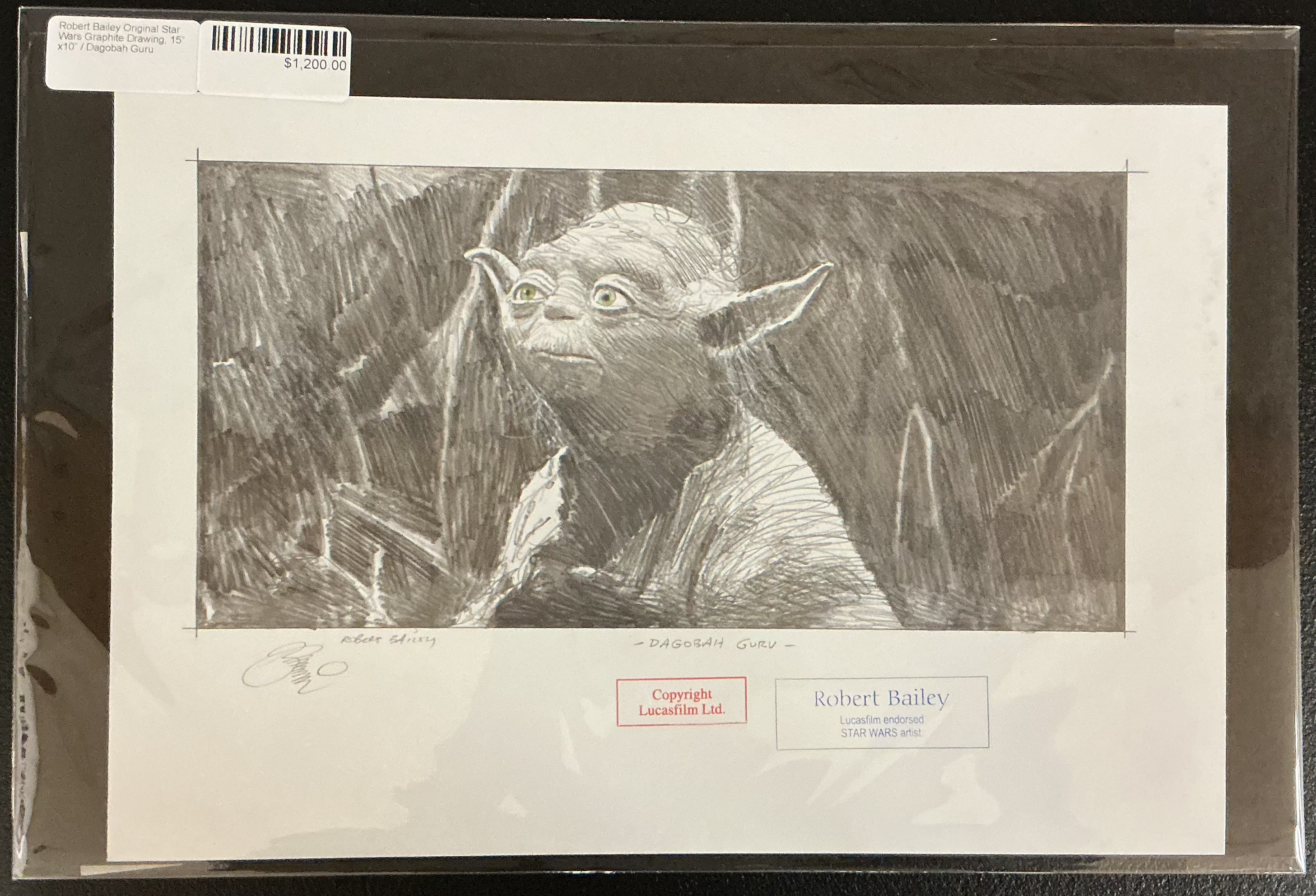 Dagobah Guru